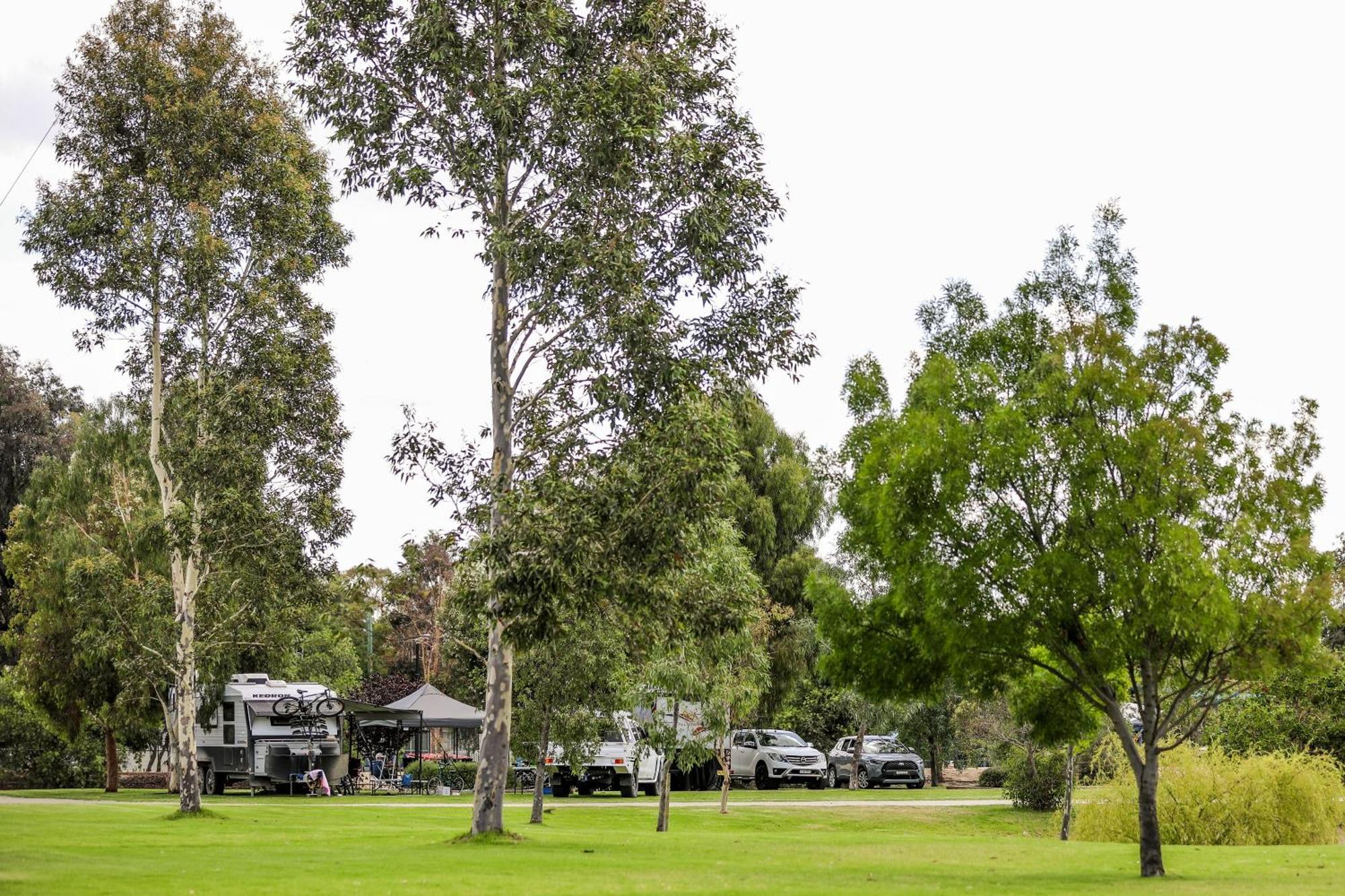 Discovery Parks - Moama Waters Exterior photo