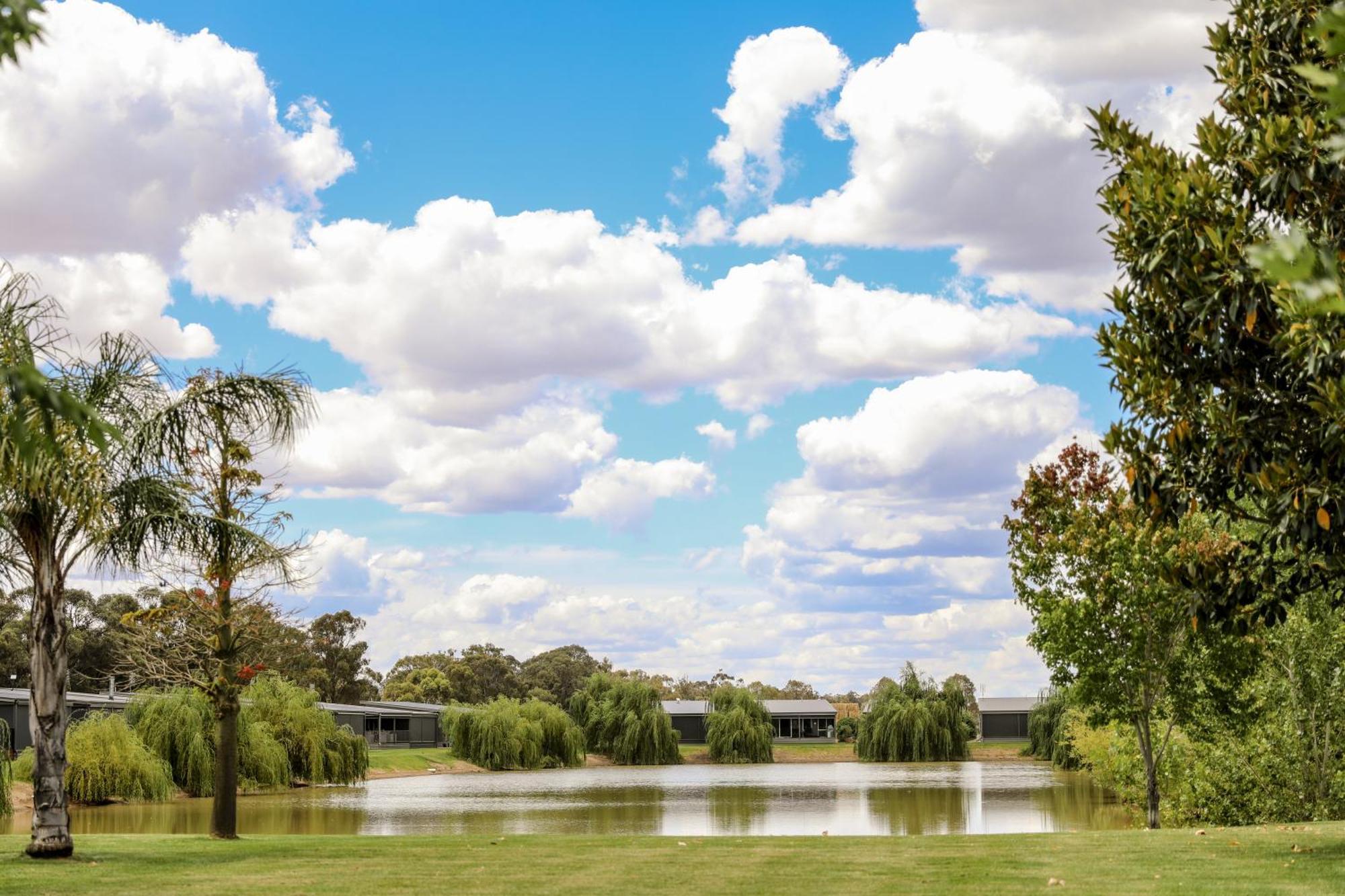 Discovery Parks - Moama Waters Exterior photo